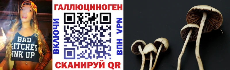 нарко площадка наркотические препараты  Магнитогорск  Псилоцибиновые грибы MAGIC MUSHROOMS  что такое  